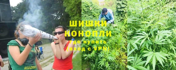 амф Абинск
