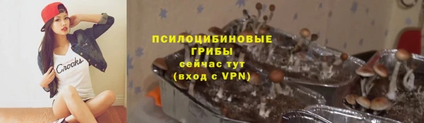 амф Абинск